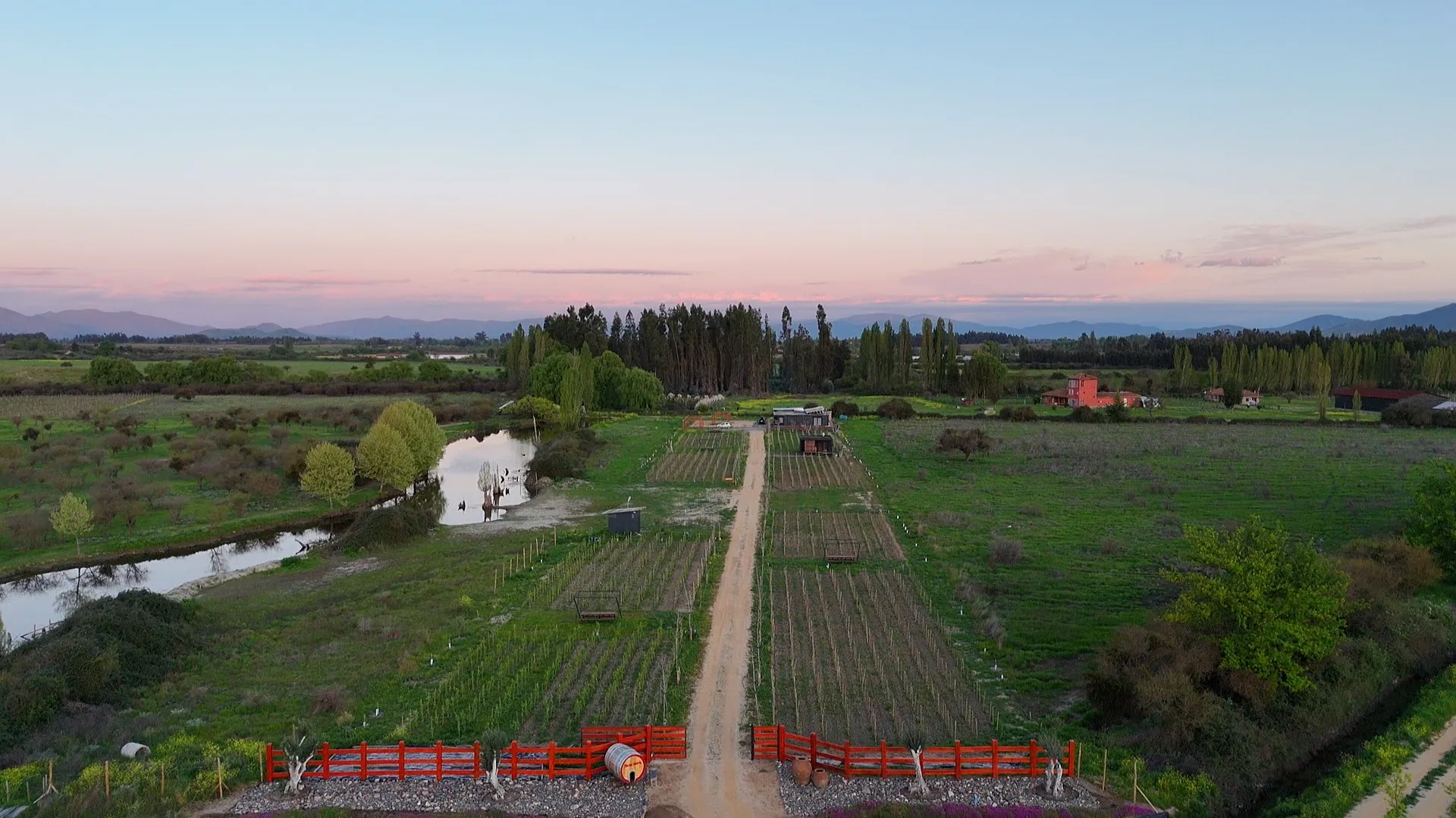 Atuação da Rhenus Winery